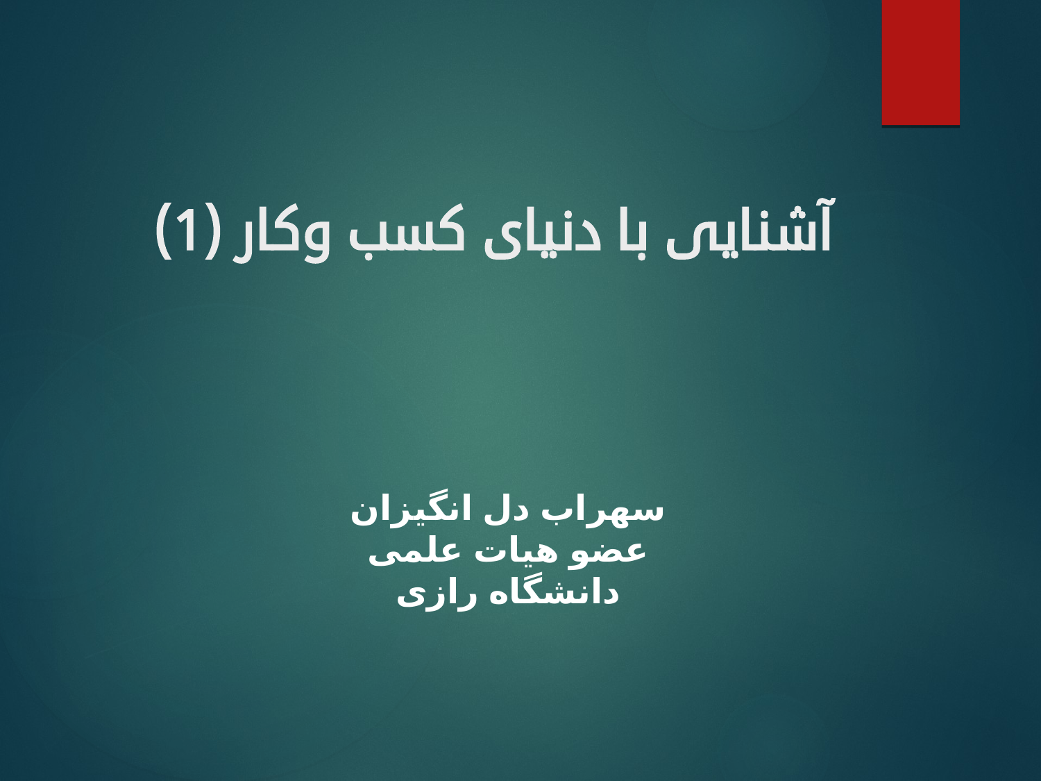 آشنایی با دنیای کسب و کار (1)