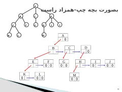 پاورپوینت ساختمان درخت - اسلاید 13