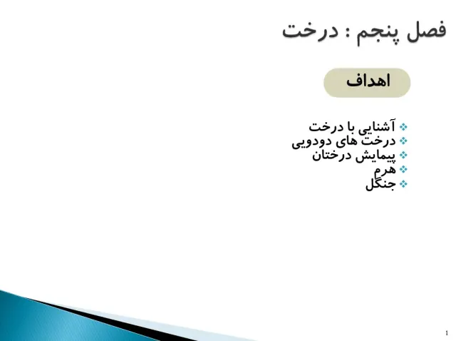 پاورپوینت ساختمان درخت