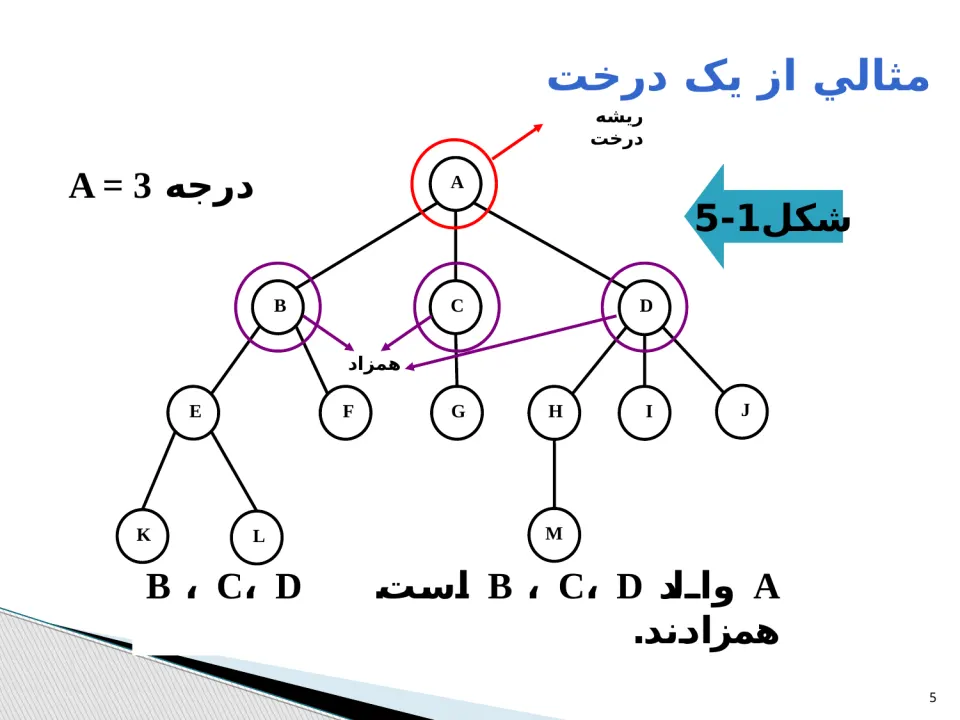 پاورپوینت ساختمان درخت - اسلاید 5