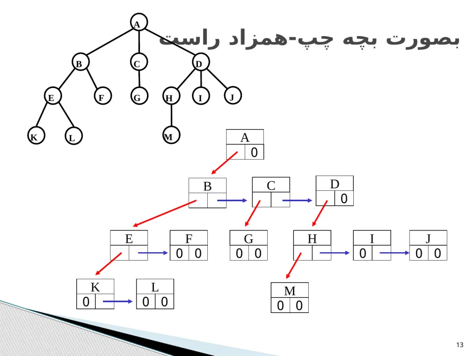 پاورپوینت ساختمان درخت - اسلاید 13