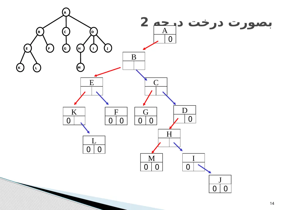 پاورپوینت ساختمان درخت - اسلاید 14